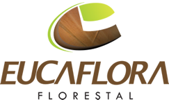 Eucaflora Florestal